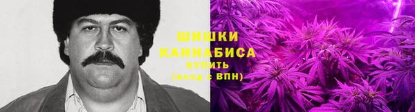 МДПВ Горняк