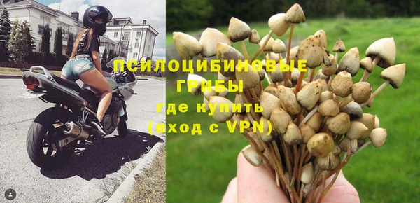 mdpv Горнозаводск