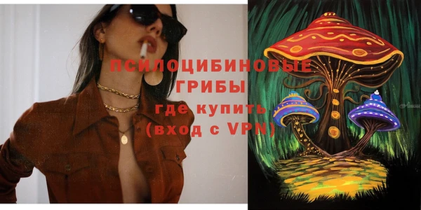 mdpv Горнозаводск