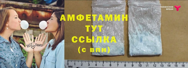 МДПВ Горняк