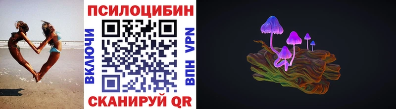 Купить закладки  Полесск  Псилоцибиновые грибы ЛСД 
